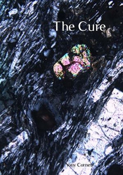 The Cure The Cure