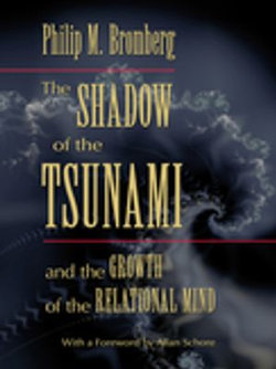 The Shadow of the Tsunami