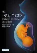 The Fetal Matrix: Evolution, Development and Disease