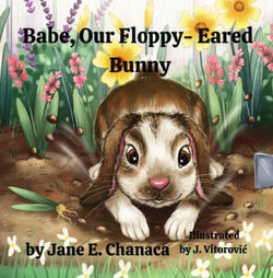 Babe, Our Floppy-Eared Bunny