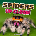 Spiders Up Close