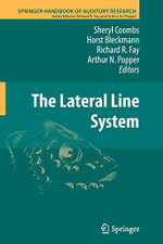 The Lateral Line System