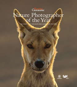 Australian Geographic Nature Photographer of the Year 2024