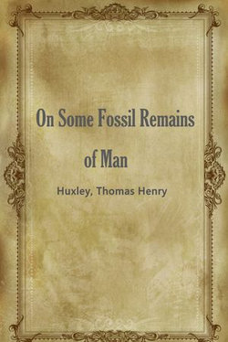 On Some Fossil Remains of Man