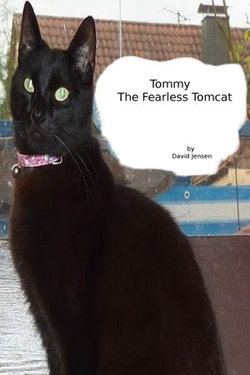 Tommy the Fearless Tomcat