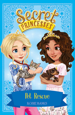 Secret Princesses