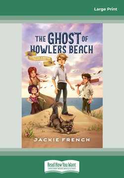 The Ghost Of Howlers Beach