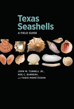 Texas Seashells