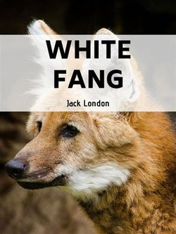 White Fang