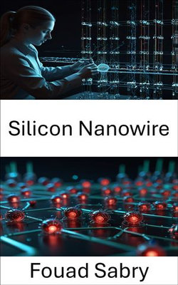 Silicon Nanowire