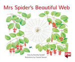 Mrs Spider's Beautiful Web