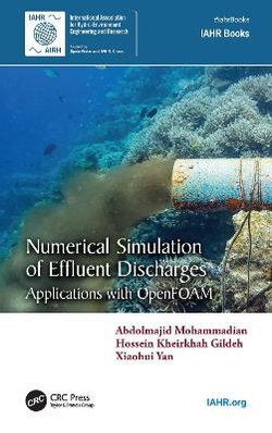 Numerical Simulation of Effluent Discharges