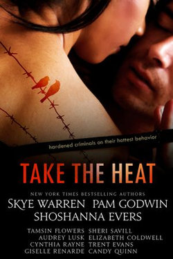 Take the Heat: A Criminal Romance Anthology