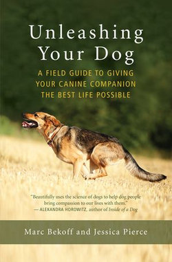 Unleashing Your Dog Unleashing Your Dog