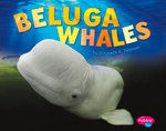 Beluga Whales
