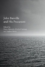 John Banville and His Precursors