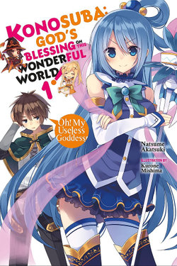 Konosuba: God's Blessing on This Wonderful World!, Vol. 1 (light Novel)