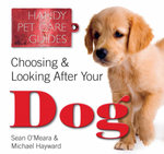 Choosing & Looking After Your Dog