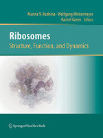 Ribosomes Structure, Function, and Dynamics