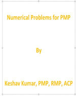 Numerical Problems for PMP