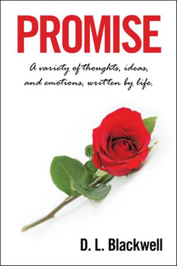 Promise