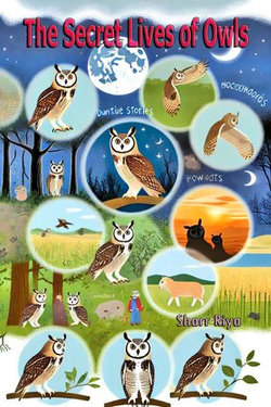 The Secret Lives of Owls The Secret Lives of Owls