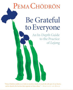 Be Grateful to Everyone