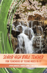 Senior High Bible Teacher
