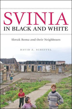 Svinia in Black and White