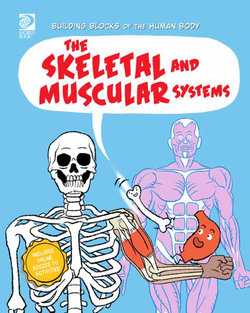 The Skeletal and Muscular Systems
