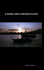 A Dark and Curious Place