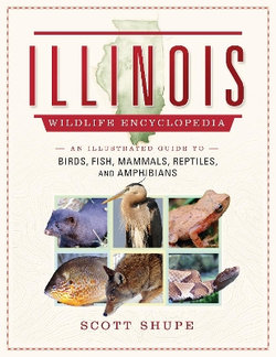 Illinois Wildlife Encyclopedia Illinois Wildlife Encyclopedia