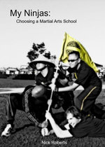 My Ninjas: Choosing A Martial Arts School