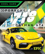Porsche 718 Cayman GT4