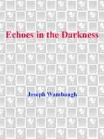 Echoes in the Darkness