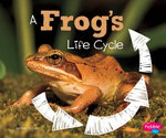 A Frog's Life Cycle
