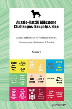 Aussie-Flat 20 Milestone Challenges Aussie-Flat 20 Milestone Challenges