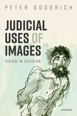 Judicial Uses of Images Judicial Uses of Images