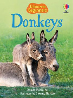 Beginners Donkeys