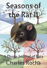Seasons of the Rat II
