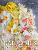 Daffodils Daffodils
