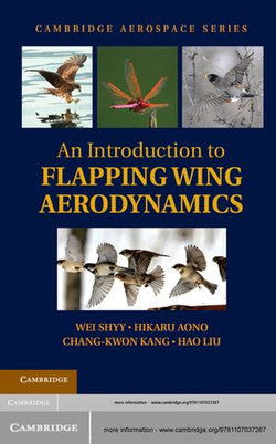 An Introduction to Flapping Wing Aerodynamics