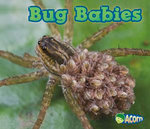 Bug Babies