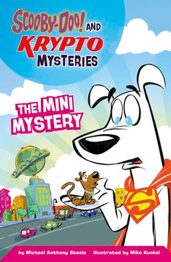 The Mini Mystery