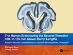 The Human Brain during the Second Trimester 160– to 170–mm Crown-Rump Lengths