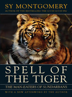 Spell of the Tiger