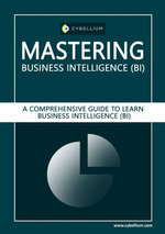 Mastering Business Intelligence (BI)