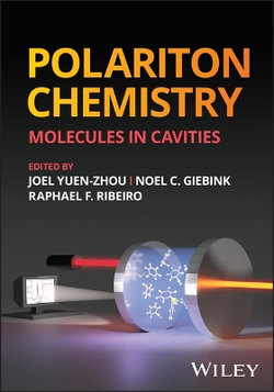Polariton Chemistry