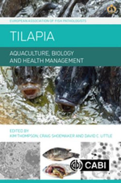Tilapia