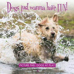 Dogs just wanna have FUN! Dogs just wanna have FUN!